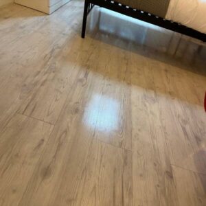 nettoyage à nice (3)